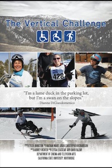 The Verticle Challenge